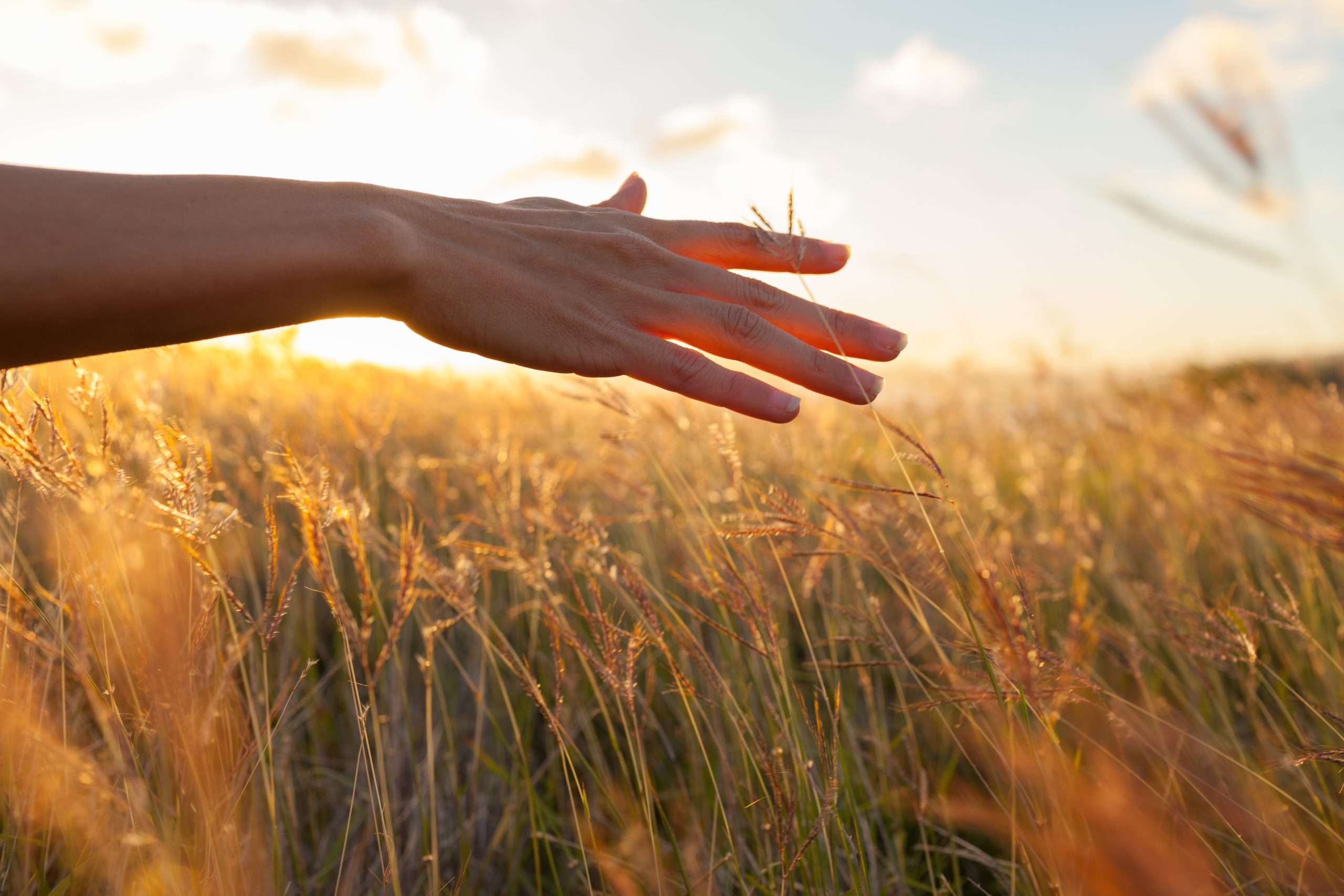 Therapeutic Family Foster Homes