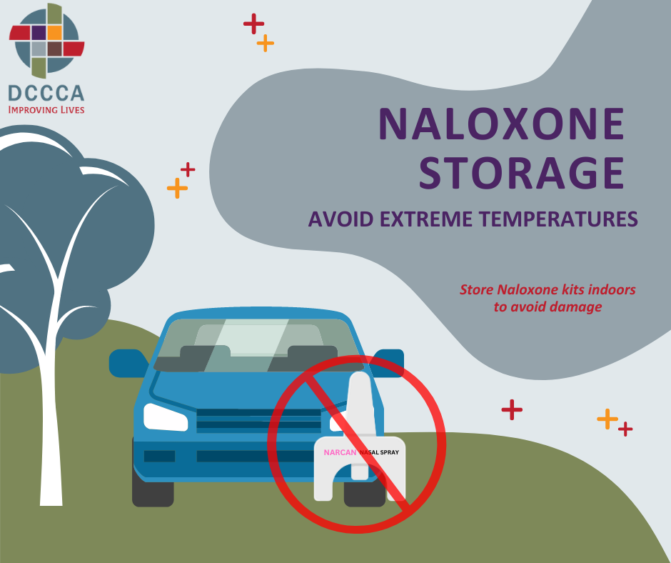 Naloxone-Car-Storage