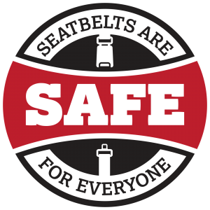 SAFE-logo